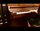 【Day31】-『さくらのころ』 薮崎太郎の一日一曲アンビエント
