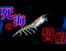 要注意団体も関与…？世界崩壊も免れない危険なオブジェクト【SCP-3200-JP】【ゆっくりSCP解説】