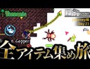 【全アイテム集め旅】壁を白色に張り替え作業動画  【テラリア】DAY23