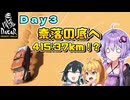 【DakarDesertRally】マキモカゆかりのDakar Rally 2020 挑戦記  Day3【VOICEROID･VOICEPEAK実況】