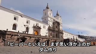 アメリカビーバーの驚異的な生態と文化的意義