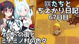 咲たちとちえかり日記　67日目 ゲルドの街とミナミノ村の色々
