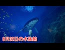 【8月32日の水族館】無限に続く水族館から脱出を目指す3D間違い探しゲームが面白すぎる件【9日目】