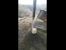 アサヒbeery香るクラフトの動画 (1080p)