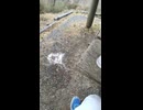 dargunerの動画 (1080p)