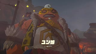 #85【ゼルダの伝説 ティアーズ オブ ザ キングダム】どうしちまったんだユン坊！
