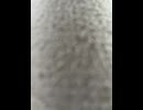 75791480847__9E8C51ED-91AF-435A-B4E3-75F876A450F3