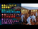 ◆鳥インフルエンザの温度矛盾◆鳥インフルエンザ発生の原因に関する異論◆鳥インフルエンザの人工的起源説◆ワクチンにＤＮＡが混入するとなぜ悪いのか？