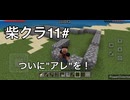 【マイクラ】柴クラ#11