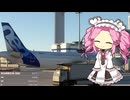 【SDGs】この手に限るエアライン【MSFS】