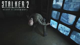 イナバウアーするけど失敗するよねｗ【STALKER2】【HeartofChornobyl】【実況】#28