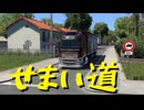 【Euro Truck Simulator 2】ペーパー歴10年がフランスの空港を巡る（#326）【実況プレイ】