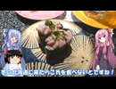 琴葉姉妹と行く釣行記録（車載編part33 2/5）