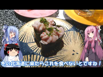 琴葉姉妹と行く釣行記録（車載編part33 2/5）