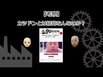 【考察】カツドンとは結局なんなのか？