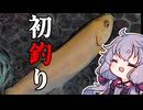 ２０２５年初釣行を１分に詰め込むおじさんを実況する結月ゆかり【1分釣り動画投稿祭2024遅刻組】