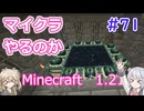 【minecraft】#71マイクラやるのか_最終決戦【1.21】【小春六花・春日部つむぎ実況】