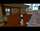 ⚡⚡メタバースの現在2025 SecondLife編「Ar bwys y Rheilffordd（レイルフォード）→Achemon Stationi（アケモン駅）」 2025年1月5日撮影