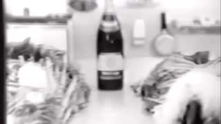 新うすくちマルテン醤油ＣＭ
