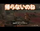 ゼルダの伝説　ティアーズ オブ ザ キングダム　実況プレイPart246