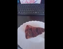 出所後に、不二家のチョコレートケーキ食べますた☆.mp4 (1080p)