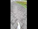 市原刑務所訪問記③危険な囚人に近付かないように！との警告ポスター☆.mp4 (1080p)
