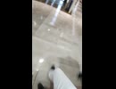 市原刑務所内を散策してみた☆.mp4 (1080p)