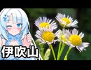 伊吹山で写真を撮る雪さんと茜ちゃん
