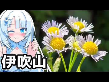 伊吹山で写真を撮る雪さんと茜ちゃん