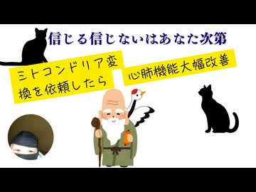 信じる信じないはあなた次第　ミトコンドリア変換を依頼したら心肺機能大幅改善