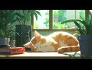Lo-Fi BGM｜Traces of a fleeting dream｜儚い夢の跡