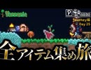 【全アイテム集め旅】★銃と変な物体？発見作業動画【テラリア】DAY25