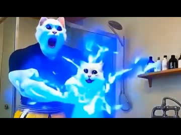 ホモと見る感電してから自在に放電できる様になった子猫