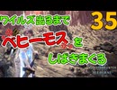 ワイルズ出るまでベヒーモスをしばきまくる。35