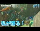 【ゼルダの伝説BotW】初めてのブレワイ！折れない心で未知の世界へ！#11【実況】