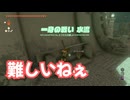 ゼルダの伝説　ティアーズ オブ ザ キングダム　実況プレイPart247