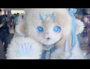 ホモと見る中国のケモナー向けアイドル