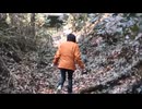 道おうてんのか？