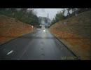 cd-30　雨天時運転　リアカメラ-8 (1080p)