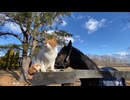 オジュウチョウサン、猫吸いに目覚める　