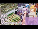 ふたりぐらしのゆかマキ ときどきふたりたび #18「突撃！駄菓子パラダイス！」【A.I.Voice2＆CeVIO AI車載】