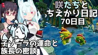 咲たちとちえかり日記　70日目 子ゾーラの運命と族長の密談