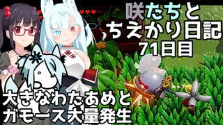 咲たちとちえかり日記　71日目 大きなわたあめとガモース大量発生！