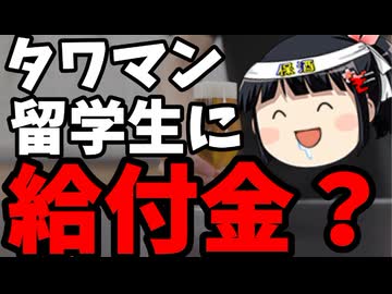 なんで中国人が給付金受け取れんだよ