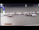 2025年1月6日高知競馬8R 四十寺山特別(B-1組) エマージングロール