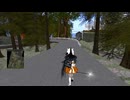 ⚡⚡メタバースの現在2025 SecondLife編「Neumoegen（ノイモーゲン）駅と国道1号を結ぶ私道」2025年1月8日撮影
