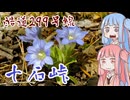 初心者ドライバー葵、走る「十石峠」