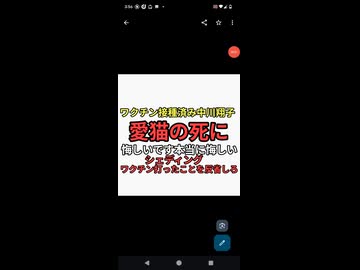 ワクチン接種済み中川翔子　愛猫の死に悔しいです本当に悔しい　シェディング　猫の頭をパクっとしていた