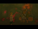 #86【ゼルダの伝説 ティアーズ オブ ザ キングダム】ユン坊はゼルダに操られている！