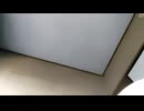 ツナ缶あると便利　そんでもってツナ缶梅和え旨し発見!! おっちゃん以外にも57歳弟分3人控えていますのでご支援金宜しくお願い致します
